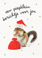 Kerstkaart piepklein berichtje voor jou eekhoorn